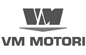 LogoVmMotori - Emmebistudio.com